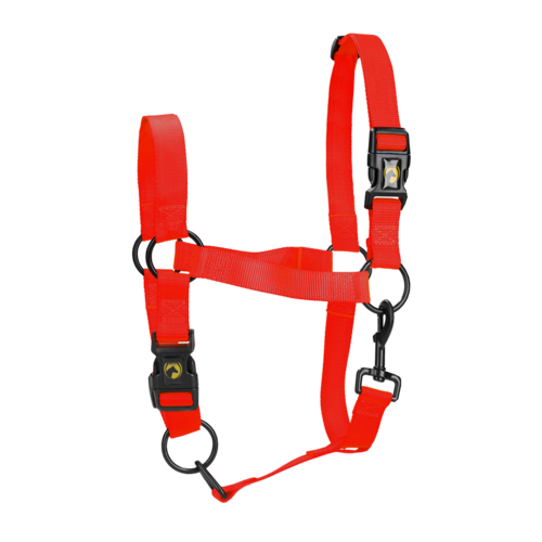Excellent Horse Essential Halster M Pony Rood