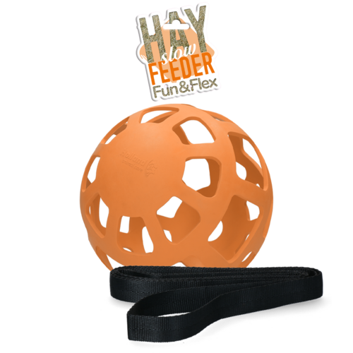 Hay Slowfeeder fun and flex 22 cm Roze Bal