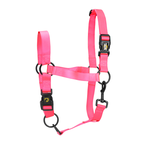 Excellent Horse Essential Halster XL Full Roze