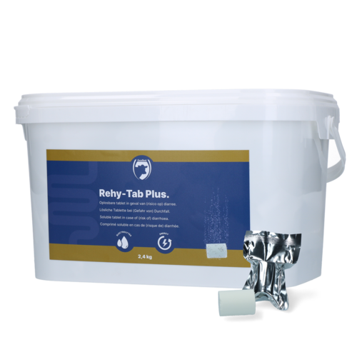 Rehy-Tab Plus (Bruistablet diarree) 48 tabl