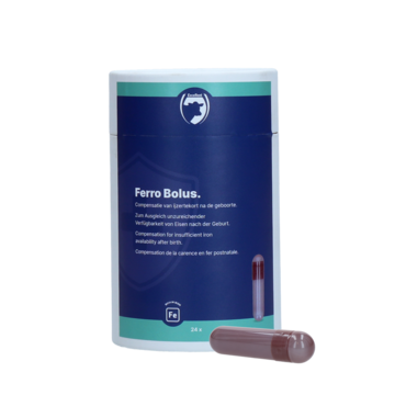 Ferro Bolus C
